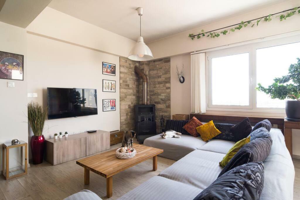 Appartamento Vas' Penthouse Nicosia Esterno foto