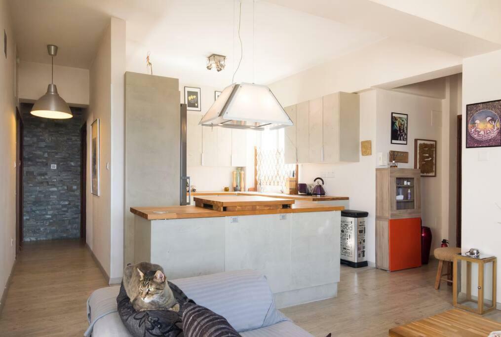 Appartamento Vas' Penthouse Nicosia Esterno foto